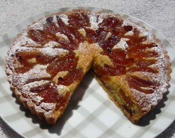 杏のタルトの写真