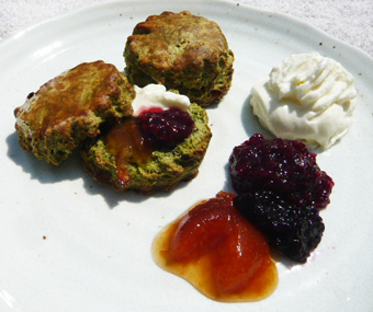 煎茶のスコーンの写真